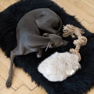 Natural Sheepskin Dog Tug Toy - Beige