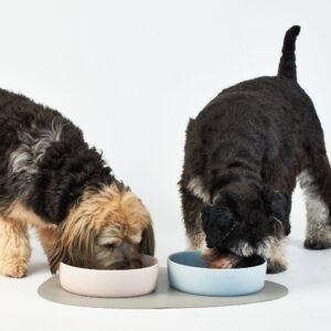 pet bowls